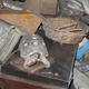 Image for article titled Tortoise Trapped In Record Player Box Found Alive After 30 Years